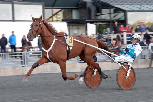 Foto av Lars Jakobsson, TR Bild